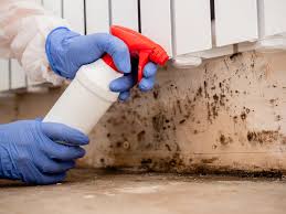 Best Air Quality Testing for Mold Spores  in Glen Ellyn, IL